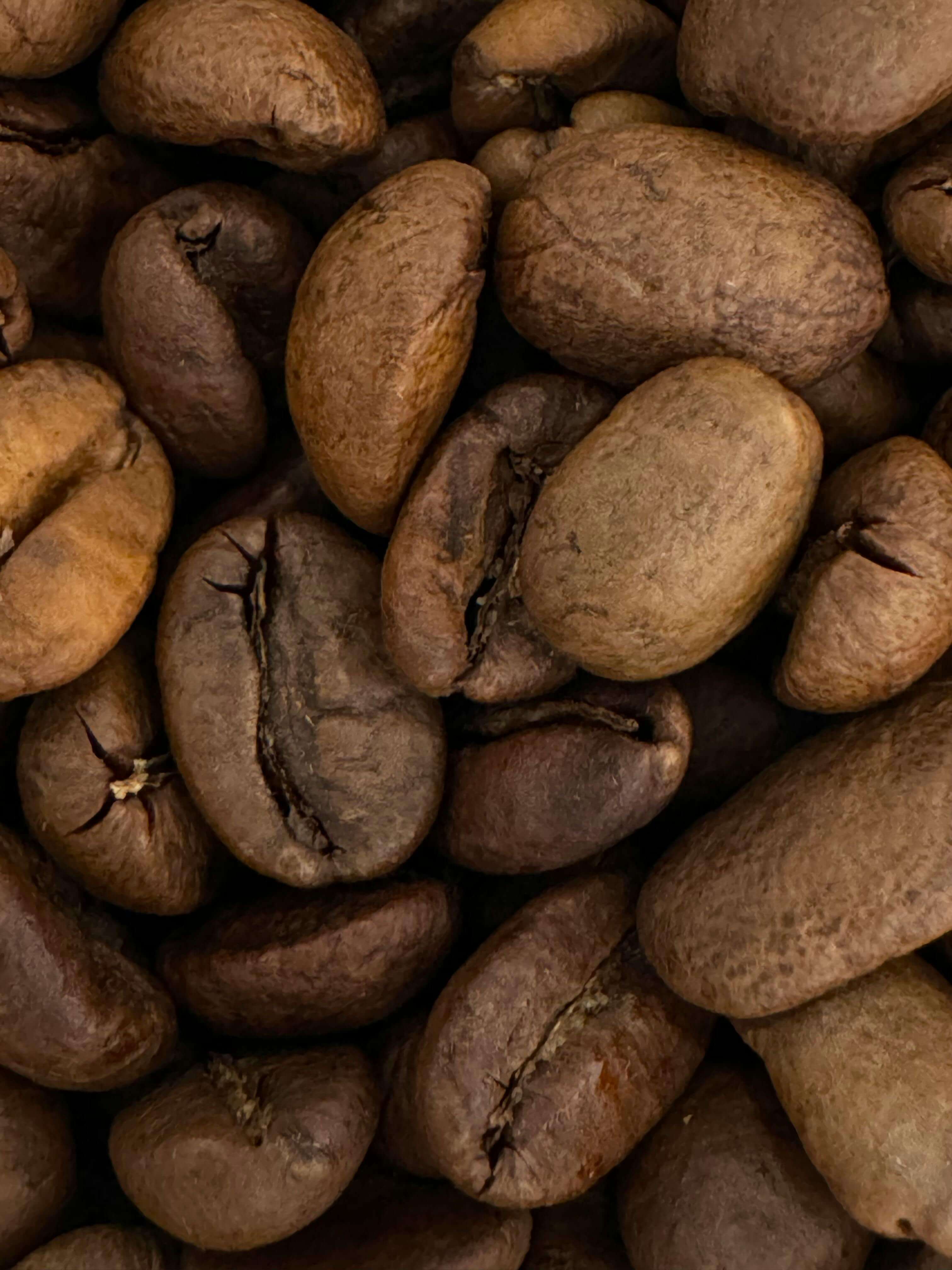 Freshly roasted coffee beans